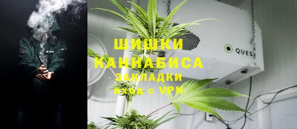 ешки Белокуриха